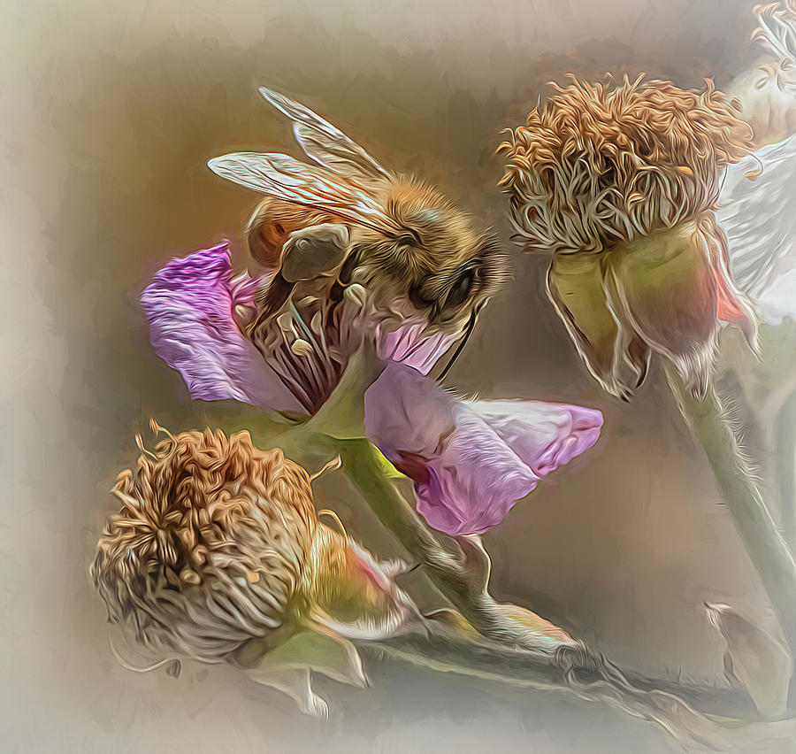 Enchanted Bee 3779 Photograph by Samuel Sheats