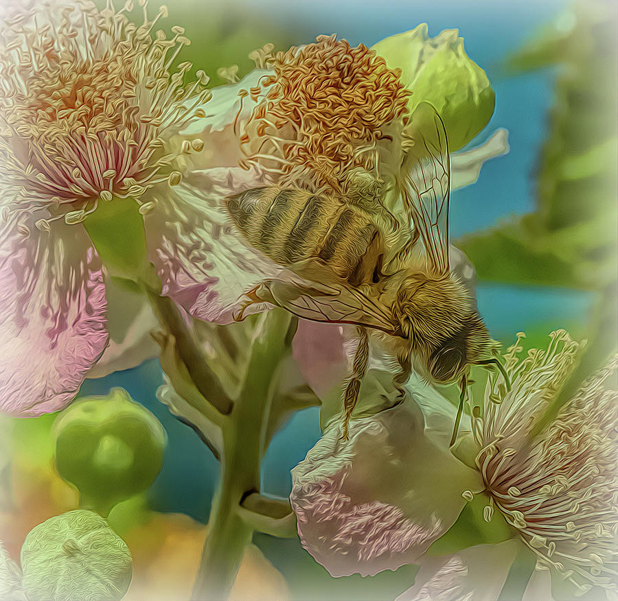 Enchanted Bee 3888 Photograph by Samuel Sheats