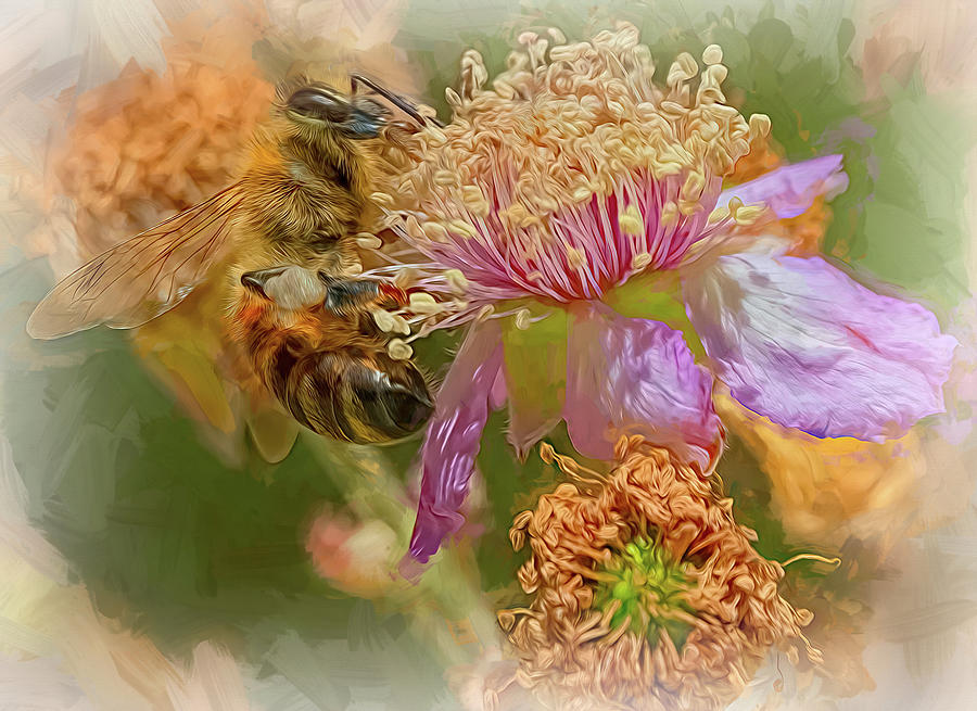 Enchanted Bee 4547 Photograph by Samuel Sheats