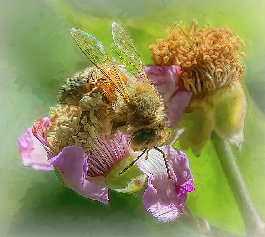 Enchanted Bee 4644 Photograph by Samuel Sheats