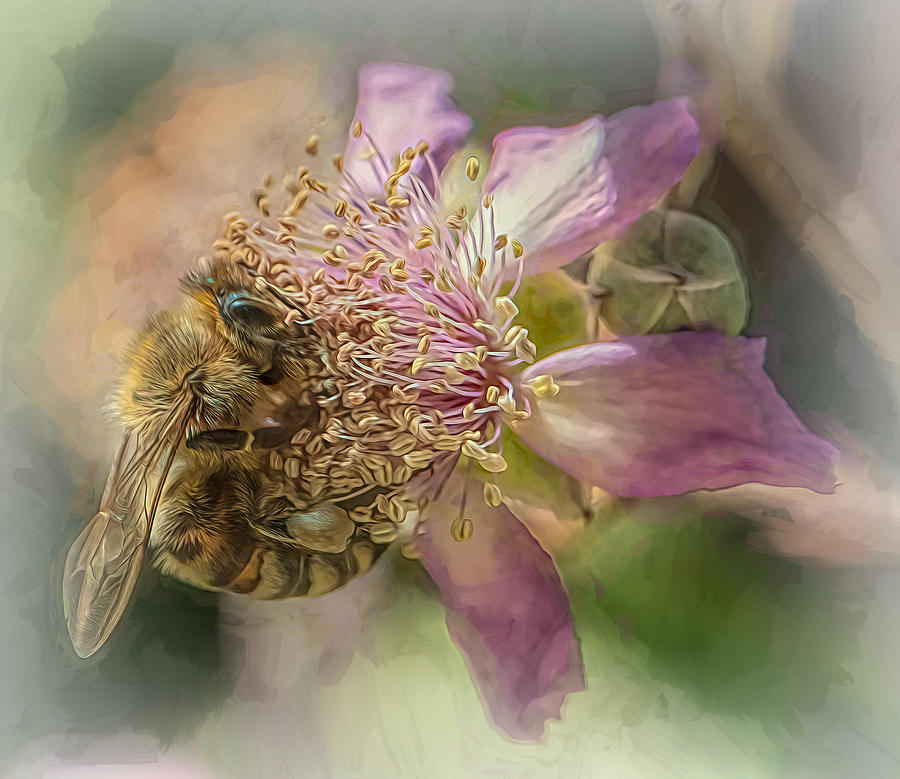 Enchanted Bee 4852 Photograph by Samuel Sheats