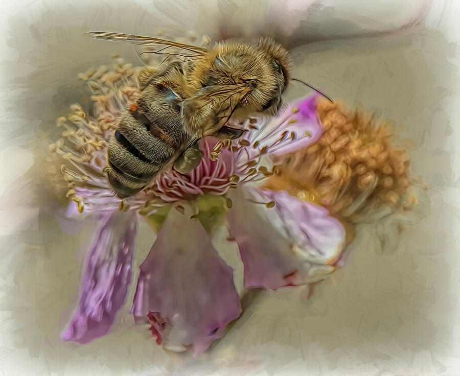 Enchanted Bee 4863 Photograph by Samuel Sheats