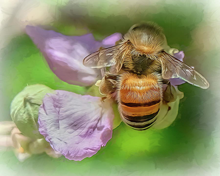 Enchanted Bee 5566 Photograph by Samuel Sheats