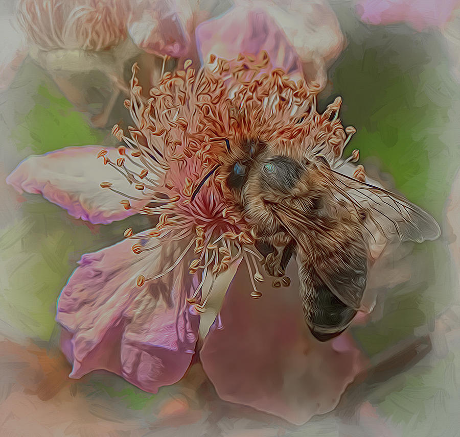 Enchanted Bee 5594 Photograph by Samuel Sheats