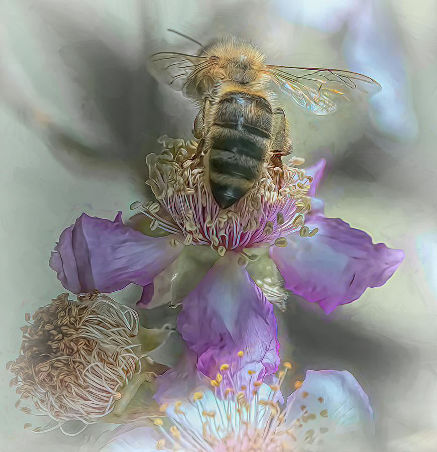 Enchanted Bee 5914 Photograph by Samuel Sheats