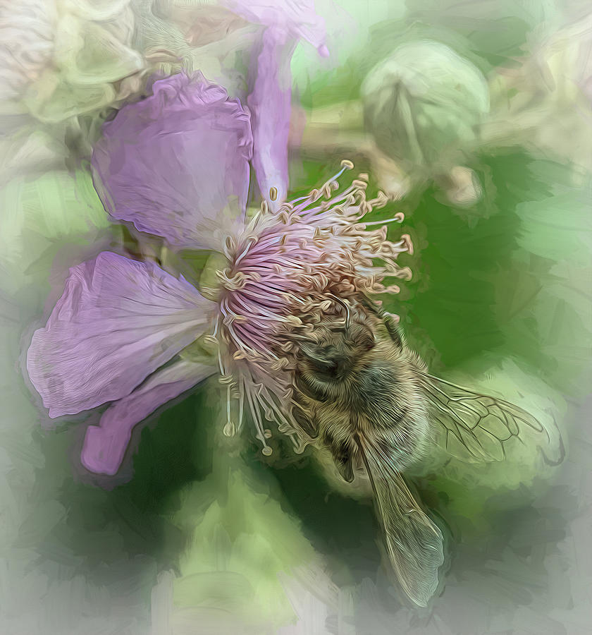 Enchanted Bee 6061 Photograph by Samuel Sheats