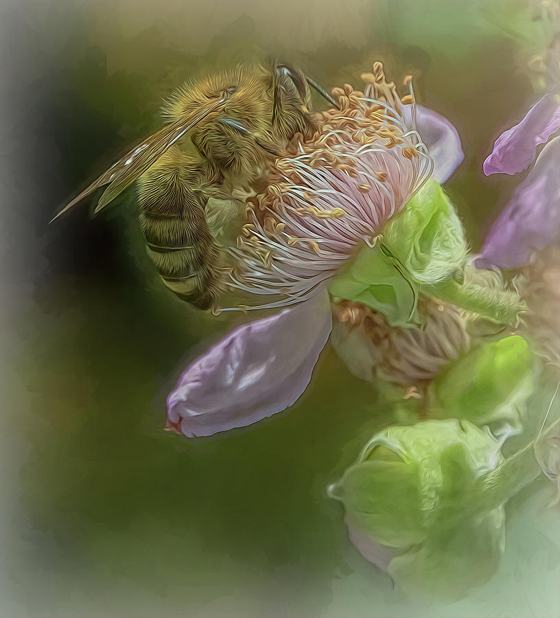 Enchanted Bee 6219 Photograph by Samuel Sheats