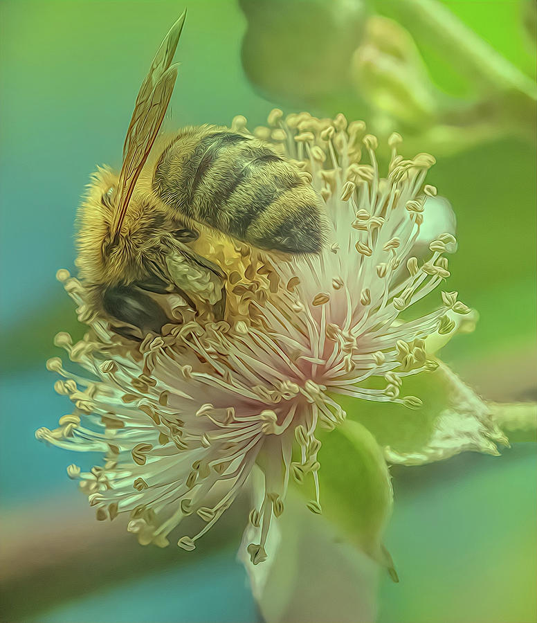 Enchanted Bee 8157 Photograph by Samuel Sheats