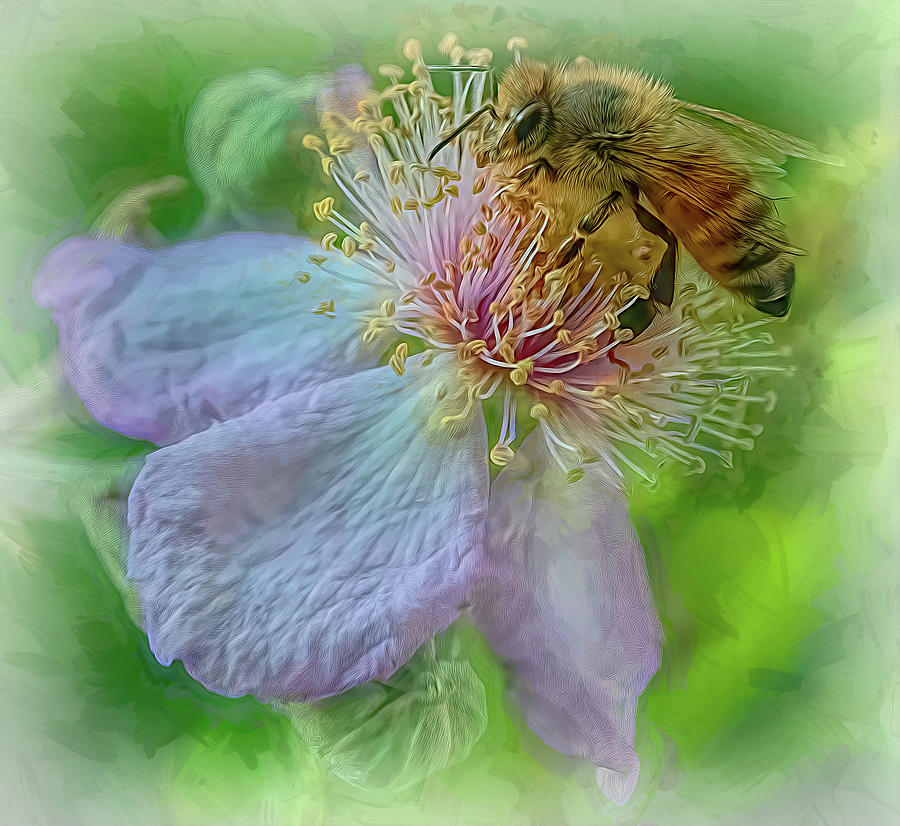 Enchanted Bee 8329 Photograph by Samuel Sheats