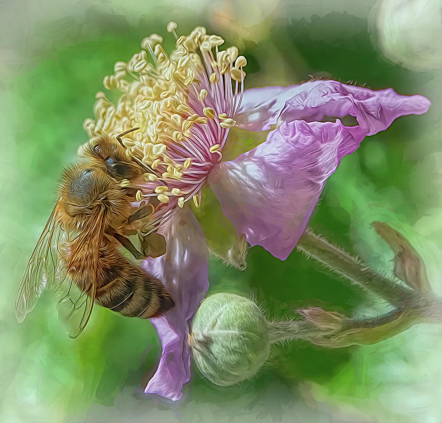 Enchanted Bee 8394 Photograph by Samuel Sheats