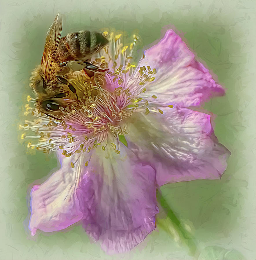 Enchanted Bee 8439 Photograph by Samuel Sheats