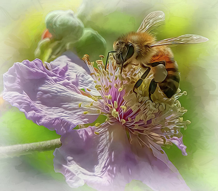 Enchanted Bee 8564 Photograph by Samuel Sheats
