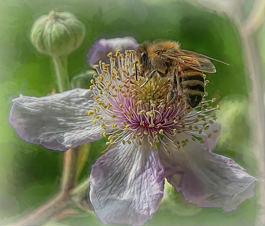 Enchanted Bee 8697 Photograph by Samuel Sheats