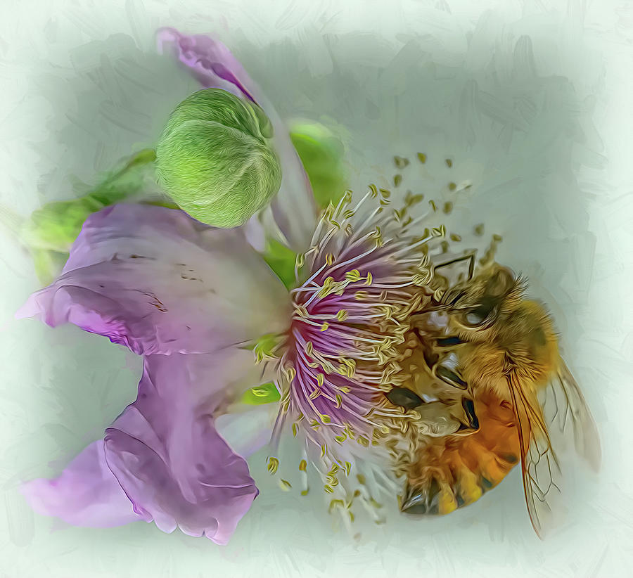 Enchanted Bee 8940 Photograph by Samuel Sheats