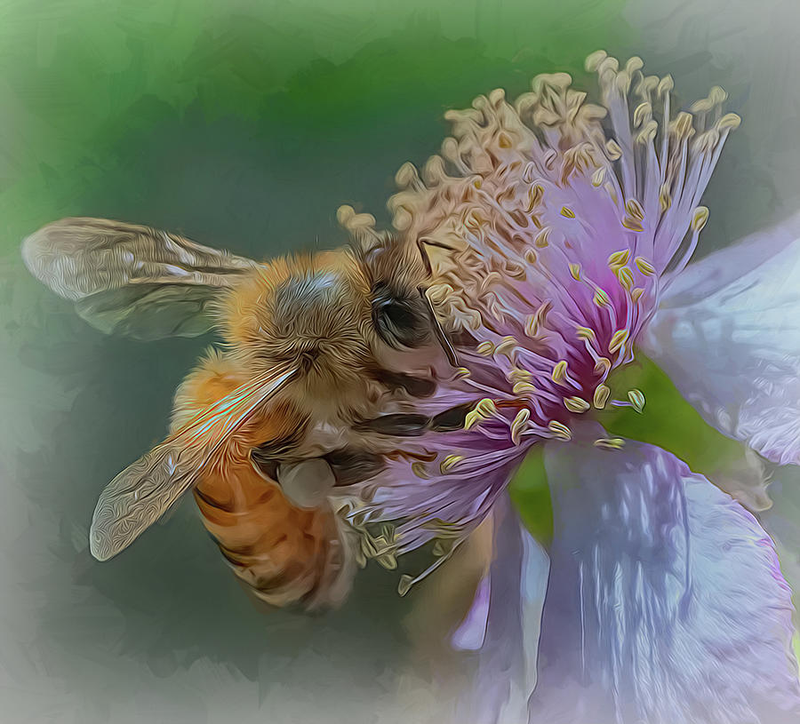 Enchanted Bee 9358 Photograph by Samuel Sheats