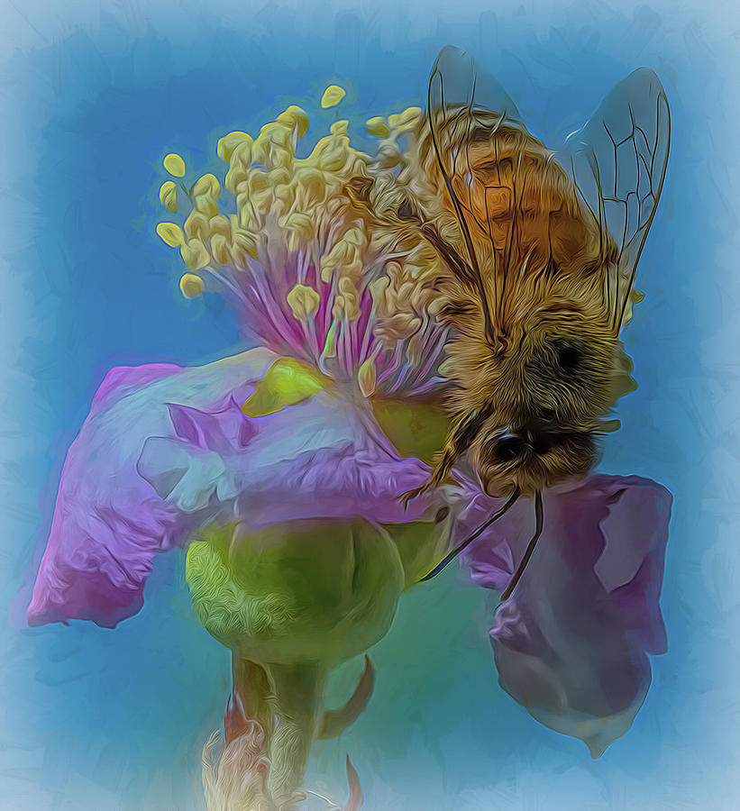 Enchanted Bee 958 Photograph by Samuel Sheats