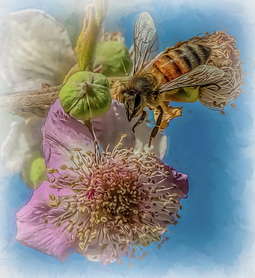 Enchanted Bee 959 Photograph by Samuel Sheats