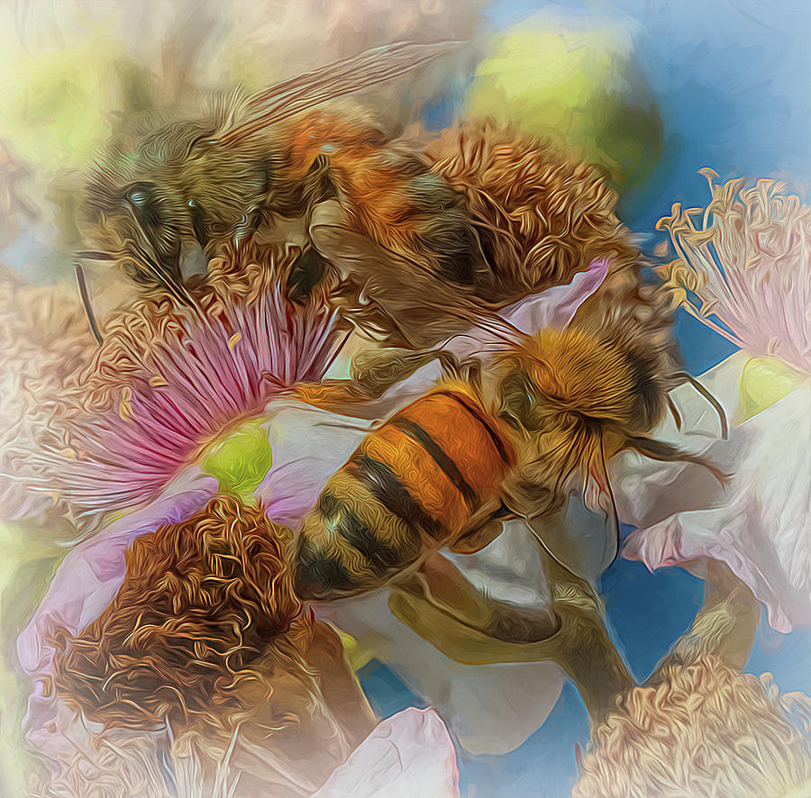 Enchanted Bee 9742 Photograph by Samuel Sheats