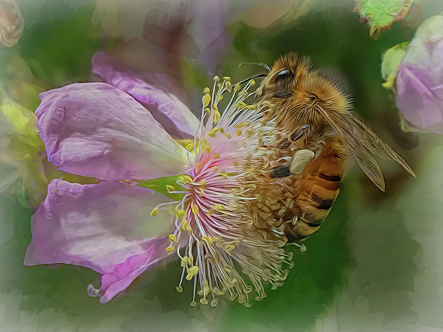 Enchanted Bee 9931 Photograph by Samuel Sheats