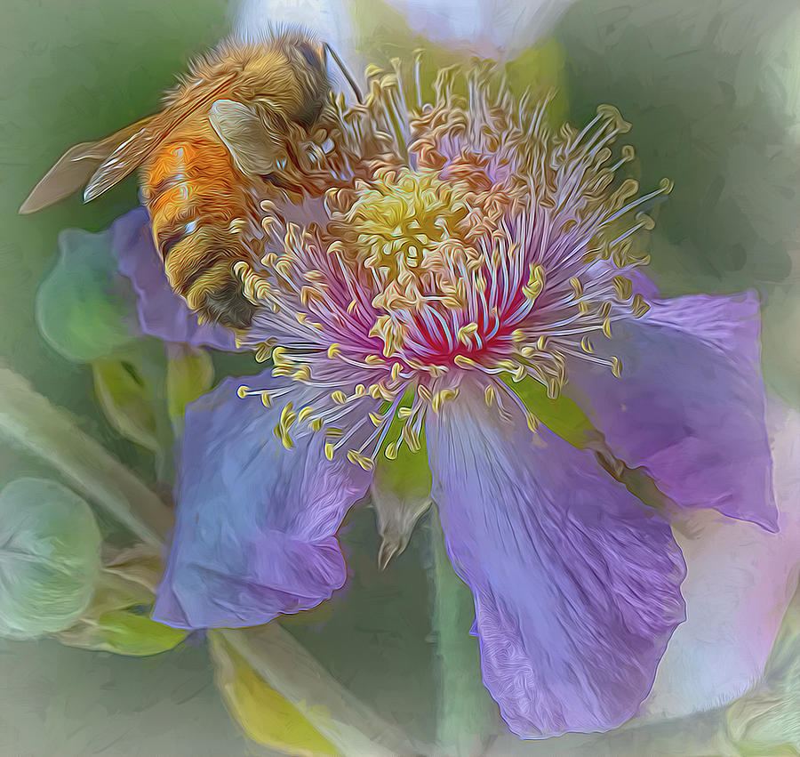 Enchanted Bee 9935 Photograph by Samuel Sheats