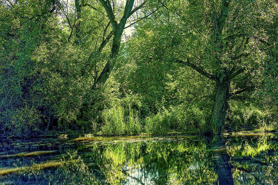 Enchanted creek #l2 Photograph by Leif Sohlman