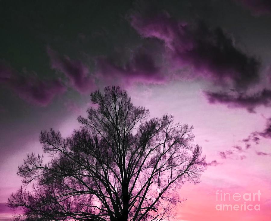 Enchanted Evening Sky Digital Art by Rachel Hannah