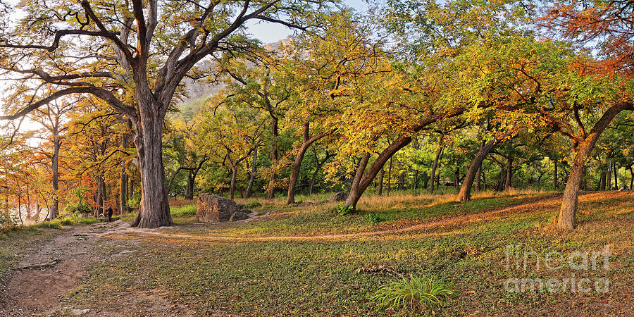 Enchanted Fall Forest At Garner State Park - Frio River Concan Texas Hill Country Photograph