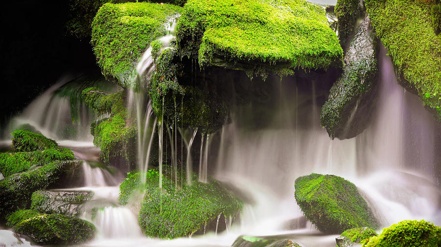 Enchanted Falls Photograph by Safran Fine Art - Fine Art America