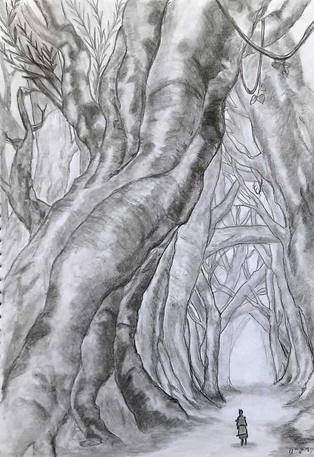 Tree Drawing - Enchanted forest by Leema Rosy