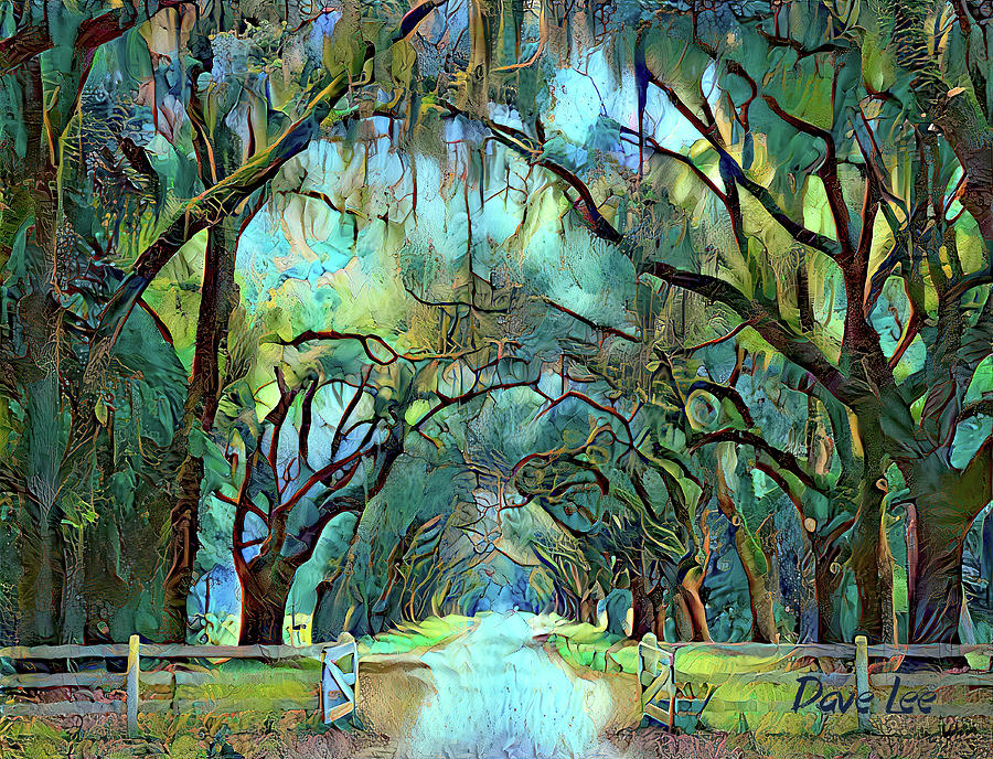 Entering the Enchanted Forest Digital Art by Dave Lee