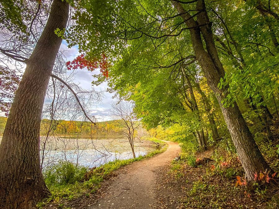 Enchanted Forest Trail in Autumn Photograph by Susan Rydberg