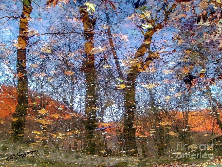Enchanted forest_Signed_Limited edition Photograph by Art by Magdalene