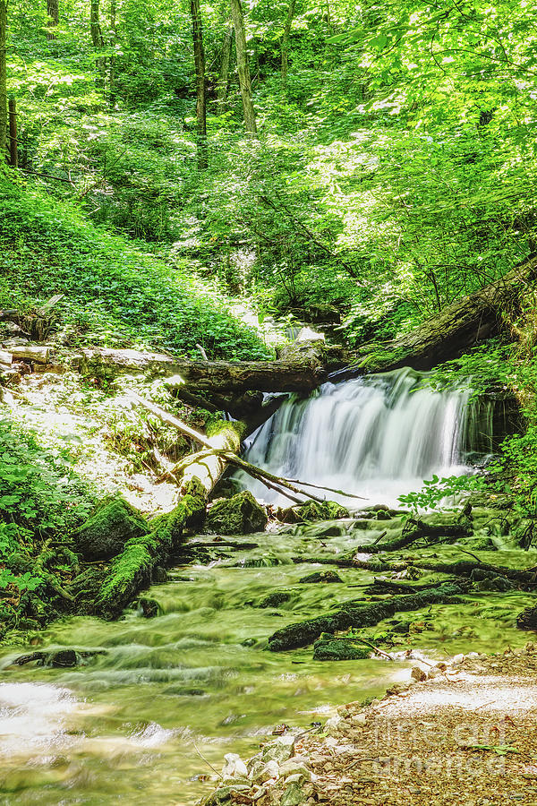 Enchanted Hills Waterfall Photograph by Jennifer White