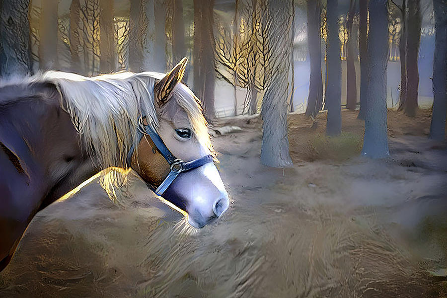 Enchanted Horse  Mixed Media by Debra Kewley