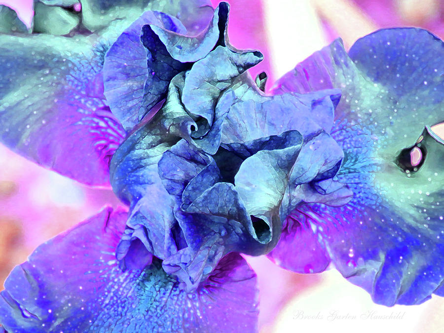 Enchanted Iris - Floral Photographic Art - Beautiful Spring Flowers - Irises Photograph by Brooks Garten Hauschild