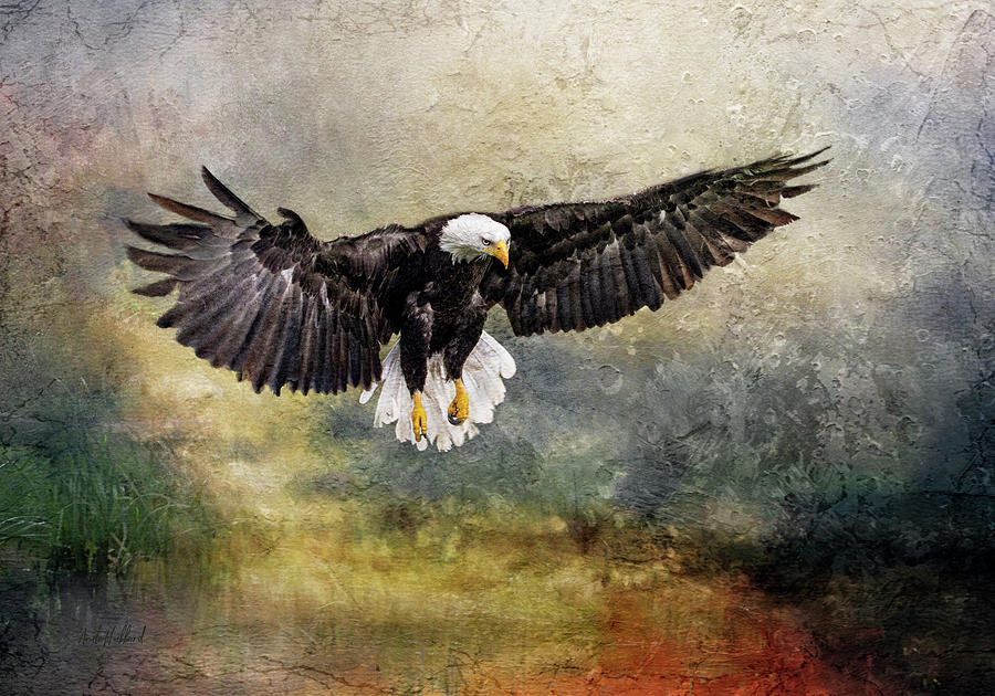 Eagle Digital Art - Enchanted Landing  by Anita Hubbard