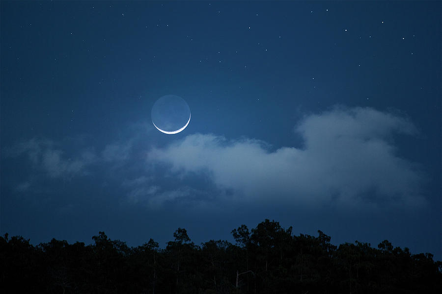 Enchanted Moon Photograph by Mark Andrew Thomas