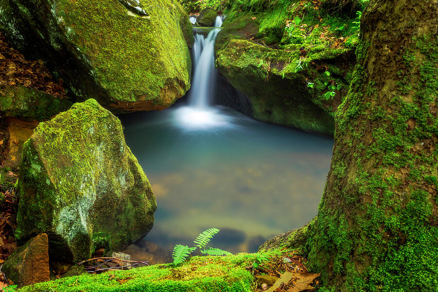 Enchanted Pool Photograph by Damon Shaw Enchanted Pool Photograph by Damon Shaw