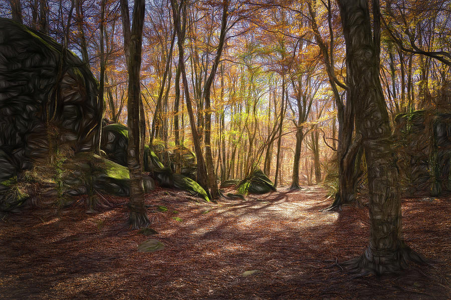 Beech Forest of the Enchanted Rocks - CR2011-3972-PIN Photograph by Jordi Carrio Jamila