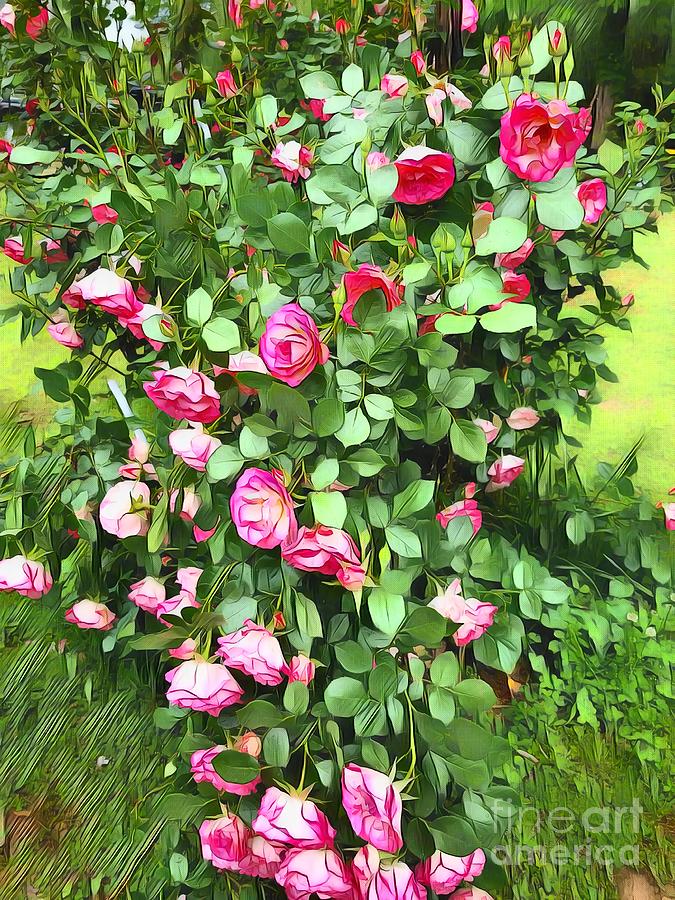 Enchanted Roses  Digital Art by Rachel Hannah
