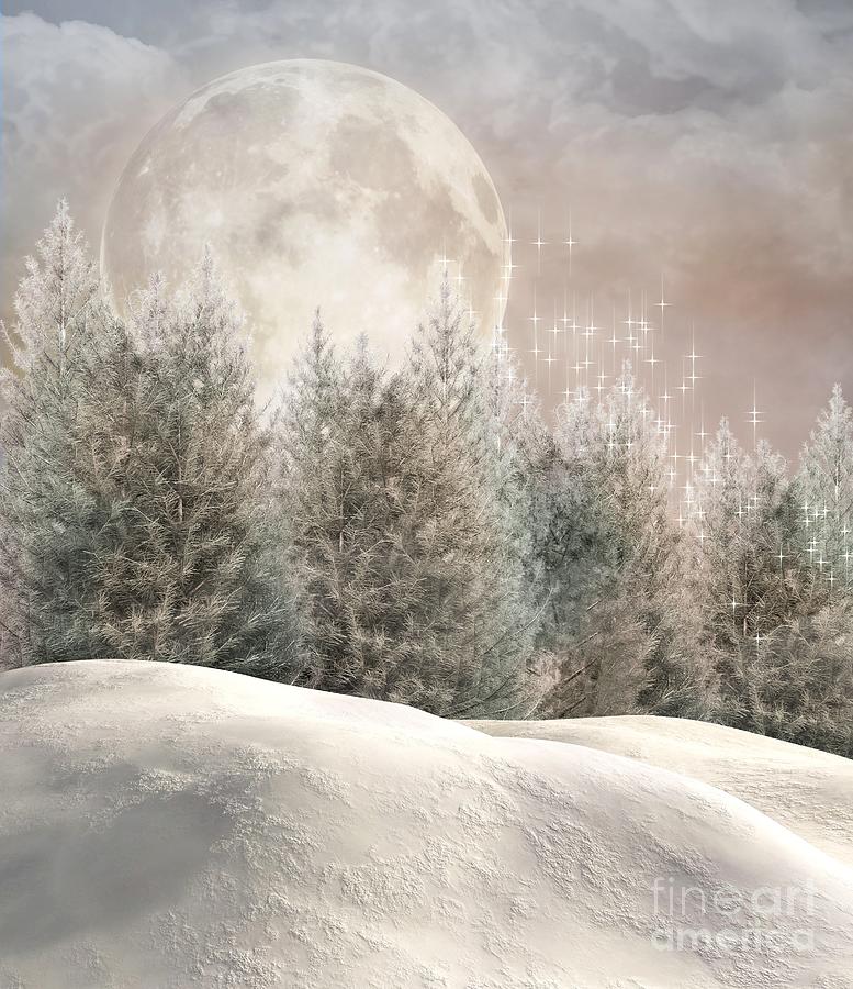 Enchanted Winter Forest Digital Art