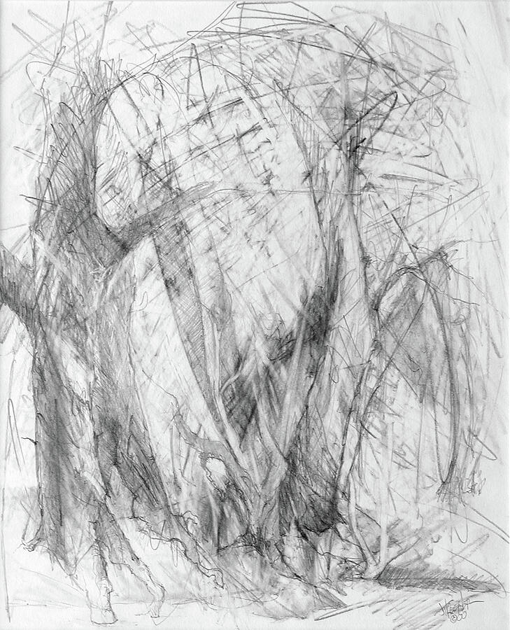 Enchanted Wood Drawing by Joel Keener Enchanted Wood Drawing by Joel Keener