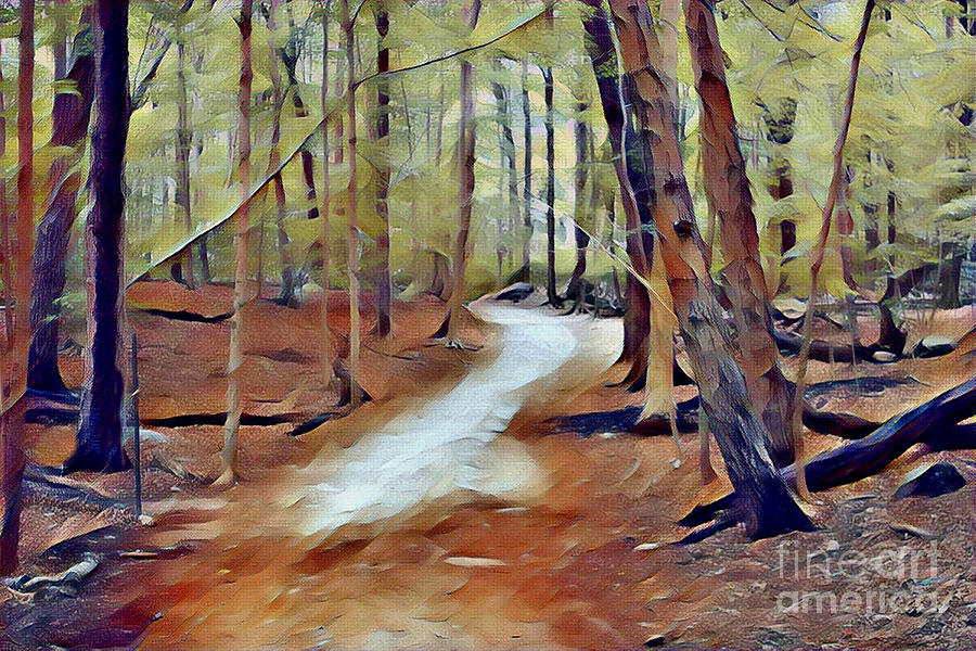 Enchanted Woods Digital Art by Judy Palkimas