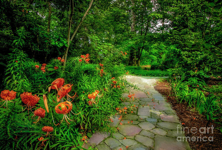 Enchanting Pathway at Duke Gardens Photograph by Shelia Hunt