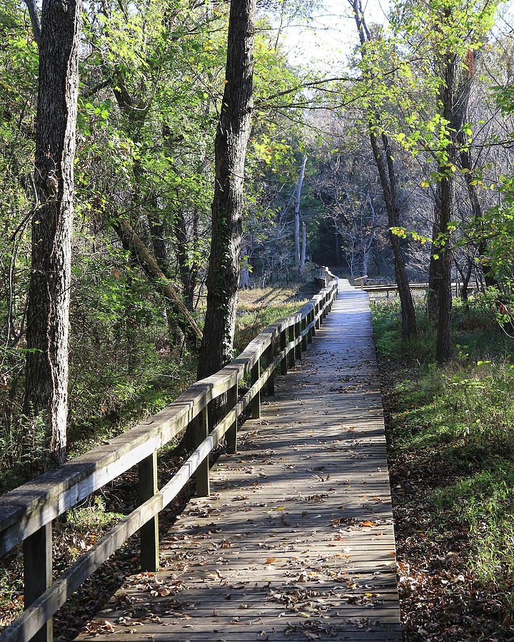 Enchanting Pathway Photograph by Melanie Huff - Fine Art America