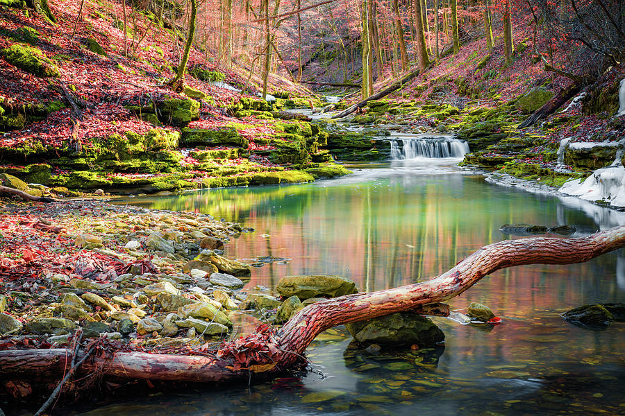 Enchanting Serenity - Cascading Waters Along Leatherwood Creek In The Ozarks Photograph by Gregory Ballos