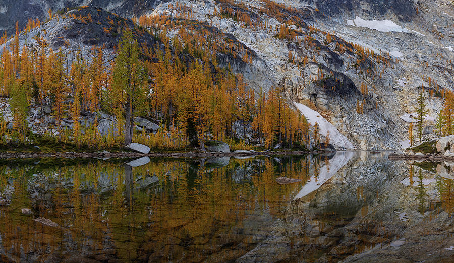 Enchantmens Alpine Lake Larches Reflection Photograph by Mike Reid