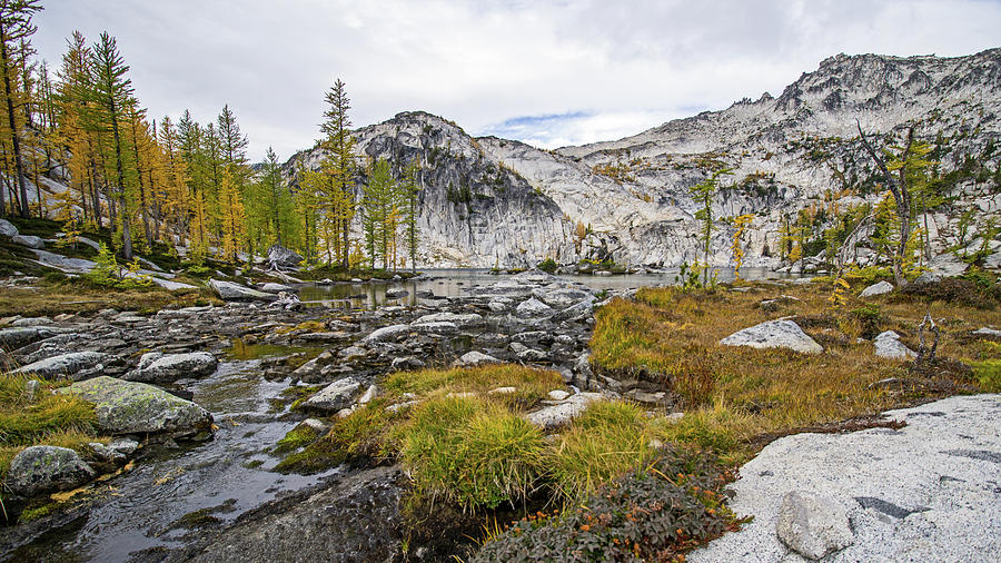 Enchantments Photograph by Angie Schutt