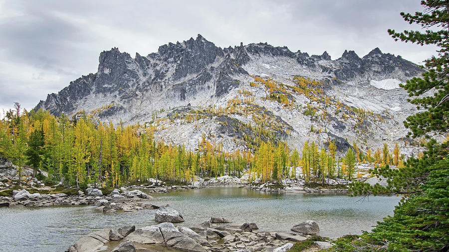 Enchantments II Photograph by Angie Schutt