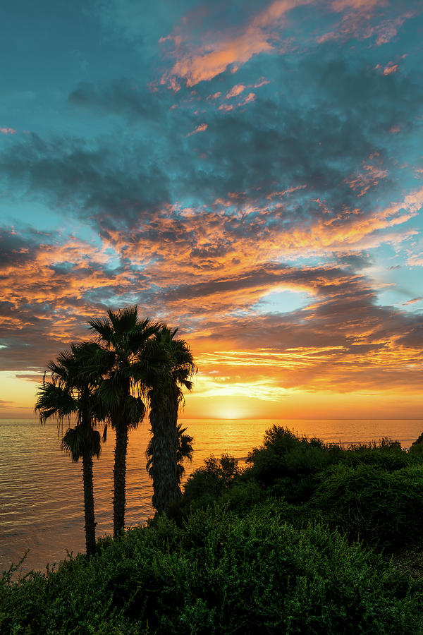 San Diego Photograph - Encinitas Sunset by Larry Marshall